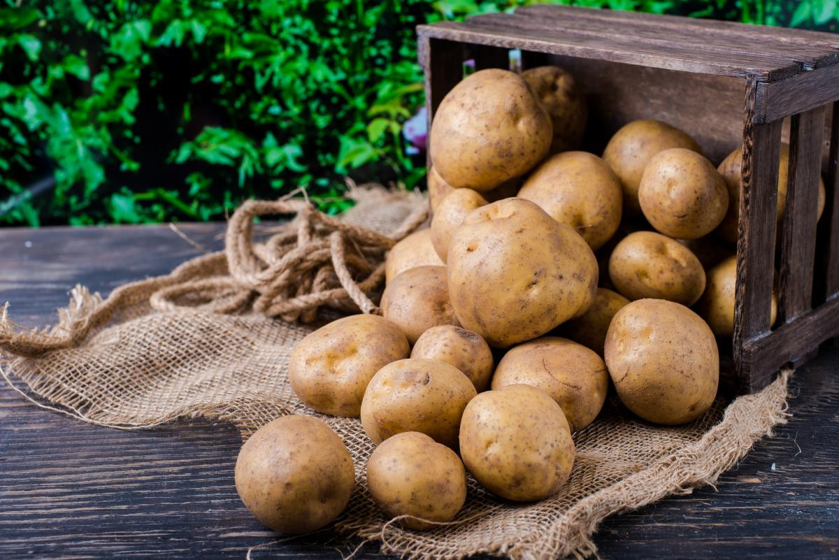 Bakanlıktan patates seferberliği