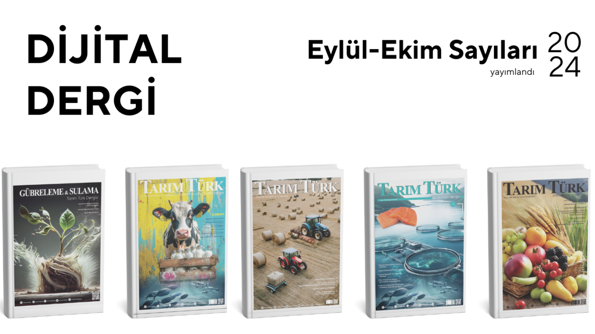 Eylül -Ekim Sayıları Yayında