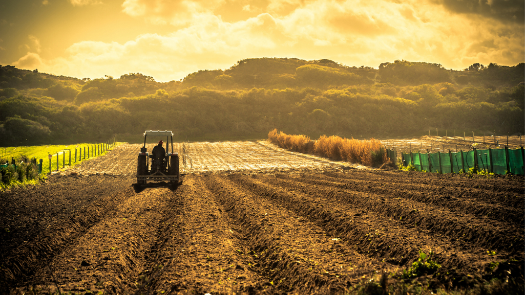 Tarım ÜFE Aralık 2023'te aylık yüzde 6,34, yıllık yüzde 52,66 arttı