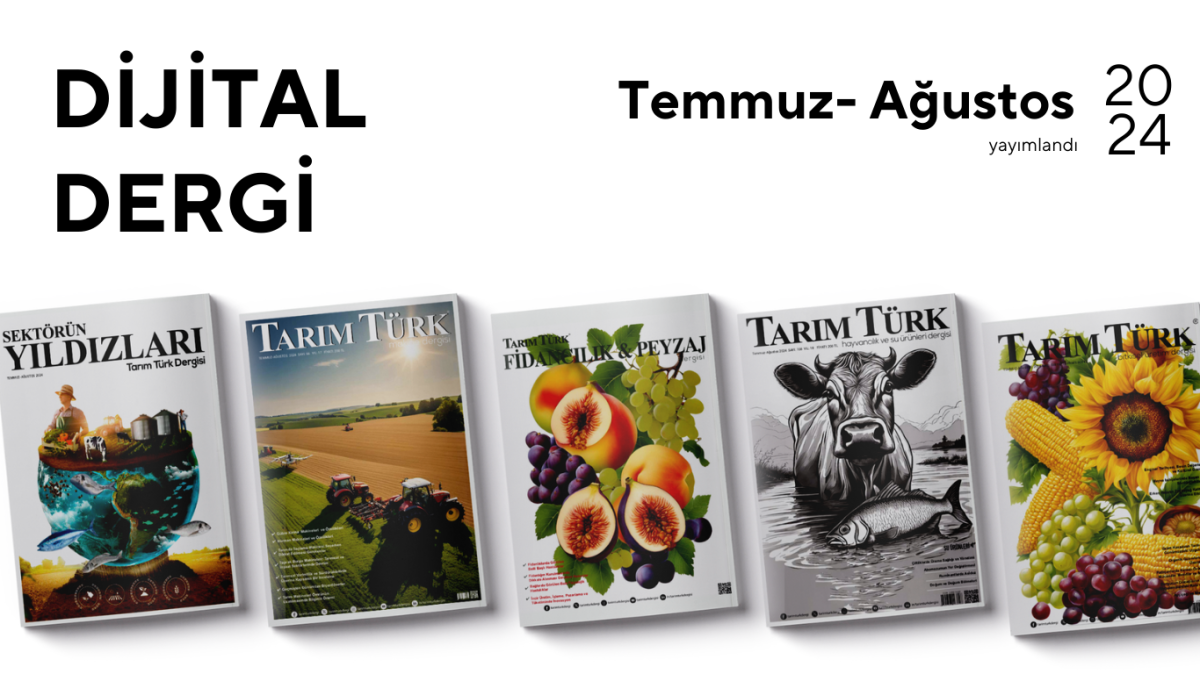 Temmuz- Ağustos Sayıları Yayında